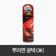 비둘기표구두약