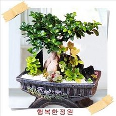 bb15b10b-fee8-4a82-ab04-2d752d492cf0.jpg