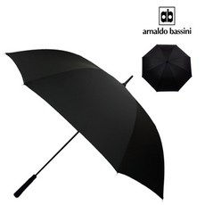 아놀드바시니우산