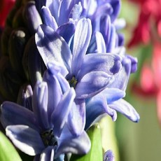 14daa077-6c94-4f76-82ef-fd7c9e3954e0.jpg
