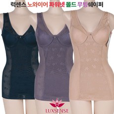 플레시크보정속옷