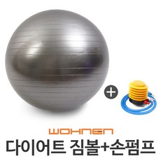 WOHNEN 다이어트짐볼, 짐볼(은색)75cm(펌프O)