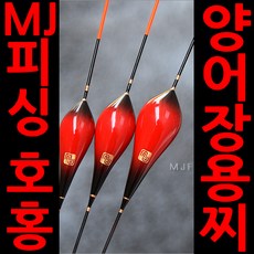 역광찌