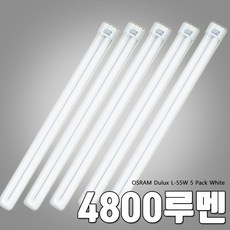 짧은구슬사슬교구