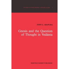 Gnosis and the Question of Thought in Vedānta: Dialogue with the Foundations Paperback, Springer