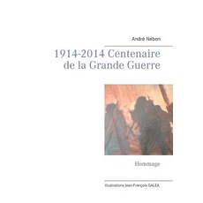 1914-2014 Centenaire de La Grande Guerre Paperback, Books on Demand