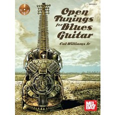 Open Tunings for Blues Guitar Paperback, Mel Bay Publications