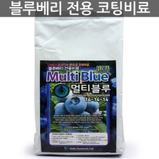 하이파케미칼 블루베리 멀티블루 1kg - 블루베리비료 영양제, 한성_멀티블루(1kg), 한성_멀티블루(1kg)