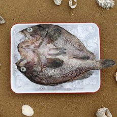 [으뜸해수산] 국내산 반건조 우럭 (손질 건조 우럭), 1개, 40cm전후(특대)