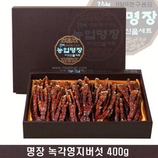 버섯1번지