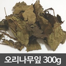 중국오리목