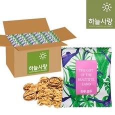하루건자두20gx60봉