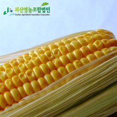 ad808553-c3cb-4a91-ba16-8e91667ea4fc.jpg