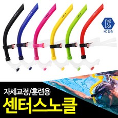 가나스윔