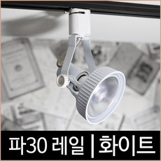 파30 레일 화이트 백색 파삼공 PAR30 레일조명 LED, 1개