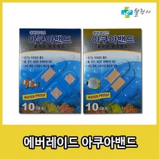 아쿠아레이서러버밴드