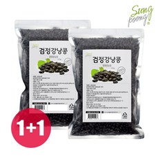 성풍양행 [1+1] 캐나다산 검정강낭콩, 2개, 2.5kg