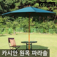 카시안 원목파라솔, 와인