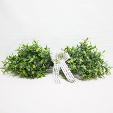 유도화