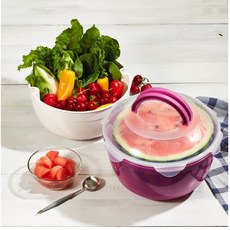 씨밀렉스 수박야채보관기3P, 1세트