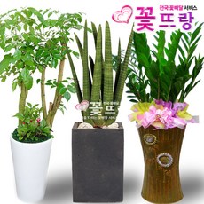 ceb03242-5ec0-40d9-96ce-e0a9dd419720.jpg