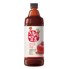 진초고