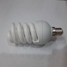 두영조명 두영 EL 스파이럴 램프 11w E17, 주광색, 1개