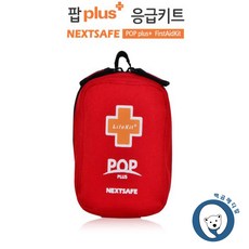 패스트레인구급헬기