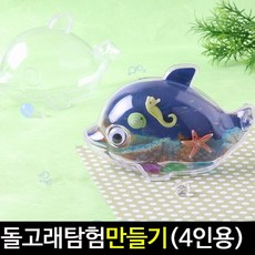 돌고래조련사체험