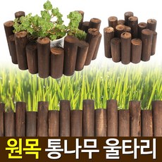 0d954dd5-fc31-4b72-aa06-86f273ceb15d.jpg