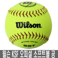 윌슨시합구1박스
