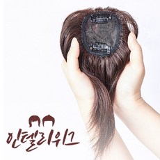 인텔리위그 정수리기본형 탑피스, 정수리기본형-A형, 1개