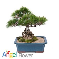 ad909ecd-c2a9-4730-8a08-73101b983ba4.jpg