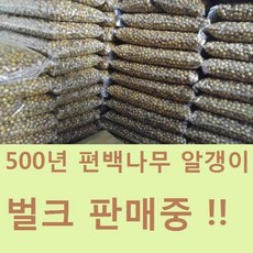 편백나무알갱이