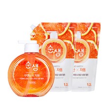 순샘 구연산 자몽 500mlx1개+1Lx2개, 1개