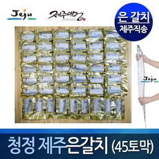 싱싱두툼갈치