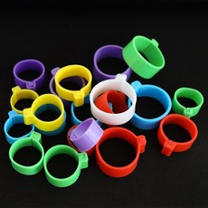 자두나무 닭 발찌 인식표 1.6cm 12개 1세트 색상랜덤발송 발목 밴드 번호표