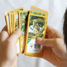 진짜진짜생생한한글낱말카드