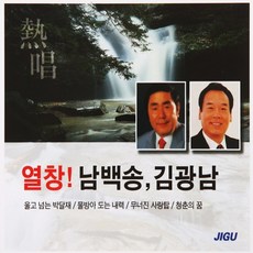 김광남