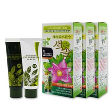 색솔 옻 안타는 웰빙 칼라 염색약 1호 자연흑갈색 3개 염모제, 1개