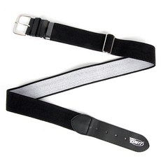 와일드브릭스벨트