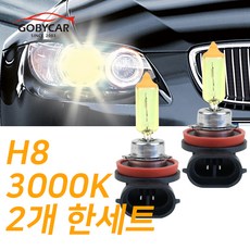 익스플로러락폴딩