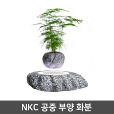 8eecebab-2e26-4904-997b-ae5ac2a9e8ae.jpg