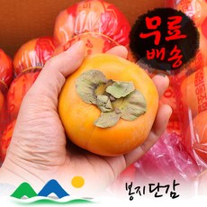 신선농장 단감, 1박스, 10kg 상품
