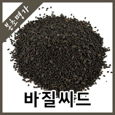 본초명가 바질씨드 바질씨앗, 1kg, 1개