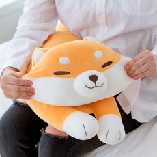 바디프랜드파라오리퍼