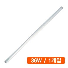 소형형광등