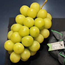 8205188d-332c-4062-880e-093d80fa91cc.jpg
