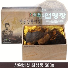 뽕나무상황버섯 최상품500g, 1개, 500g