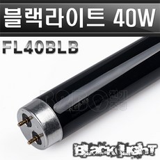 블랙라이트램프